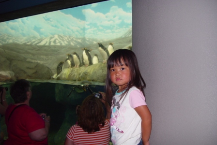 Kasen with the penguins